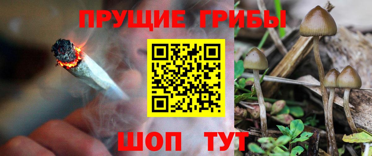 Псилоцибиновые грибы Magic Shrooms  Вход с VPN  Армавир 